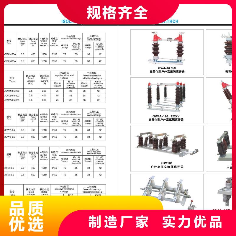 户外柱上高压真空负荷开关FZW28A-12/630