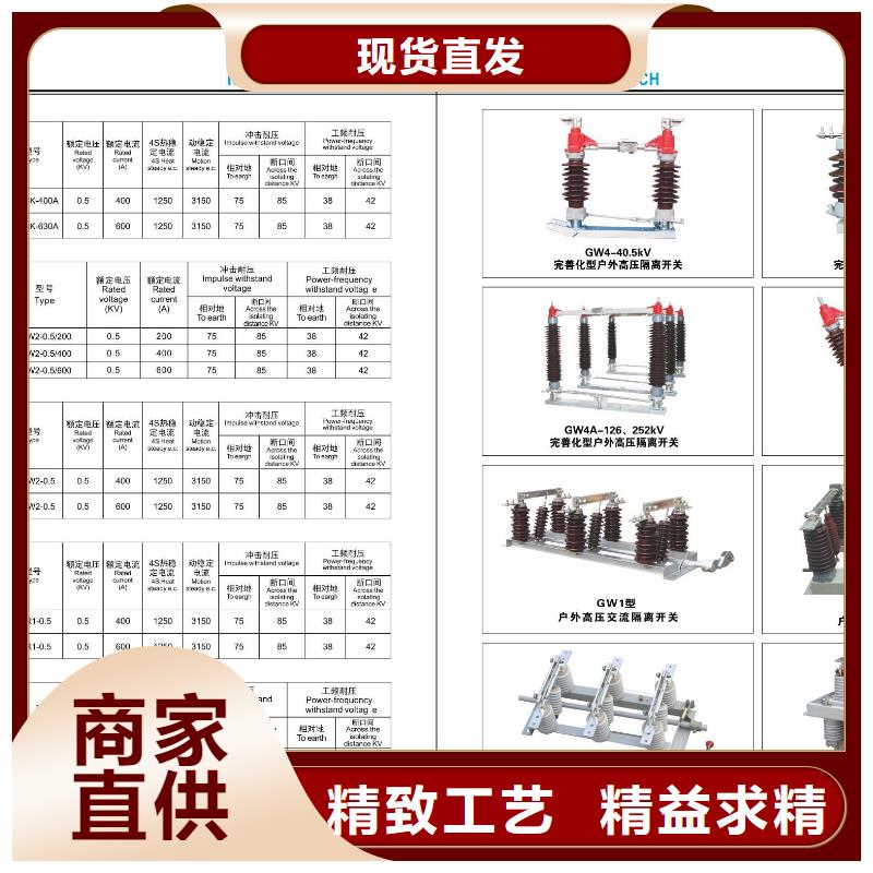 【高压熔断器-RW11-12/100】