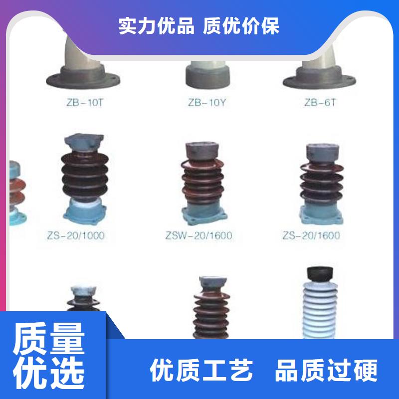 高压熔断器-HRW10-10F/200A