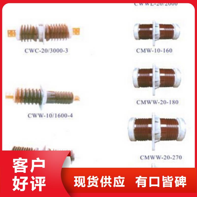 户外柱上高压真空负荷开关FZW28-12F/T630-20