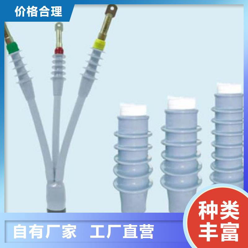 〖户内热缩电缆终端头NRSY-10/3.2