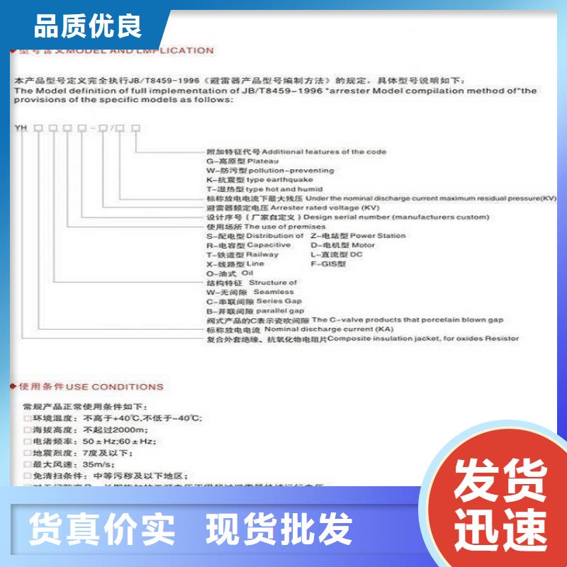 金属氧化物避雷器Y10W-100/260