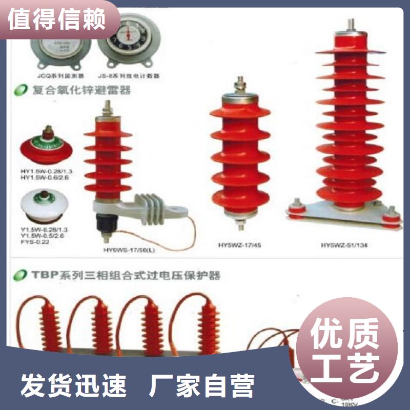 【羿振电气】避雷器YH10CX4-192/560