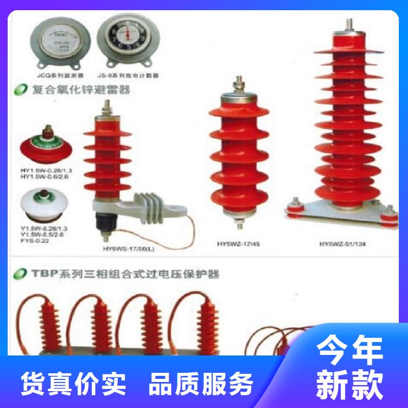 【避雷器】Y10W1-102/266GY