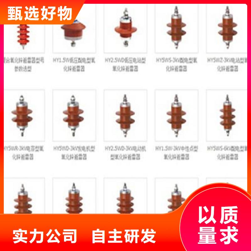 氧化锌避雷器HY10WZ-100/260【浙江羿振电气有限公司】