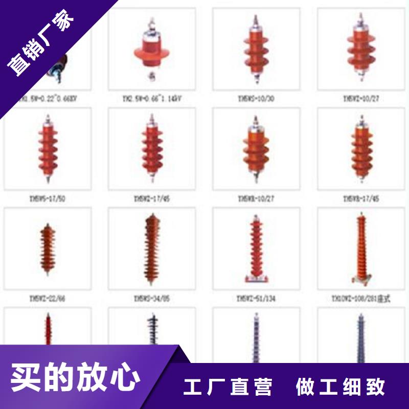 金属氧化物避雷器Y10W-200/496【浙江羿振电气有限公司】