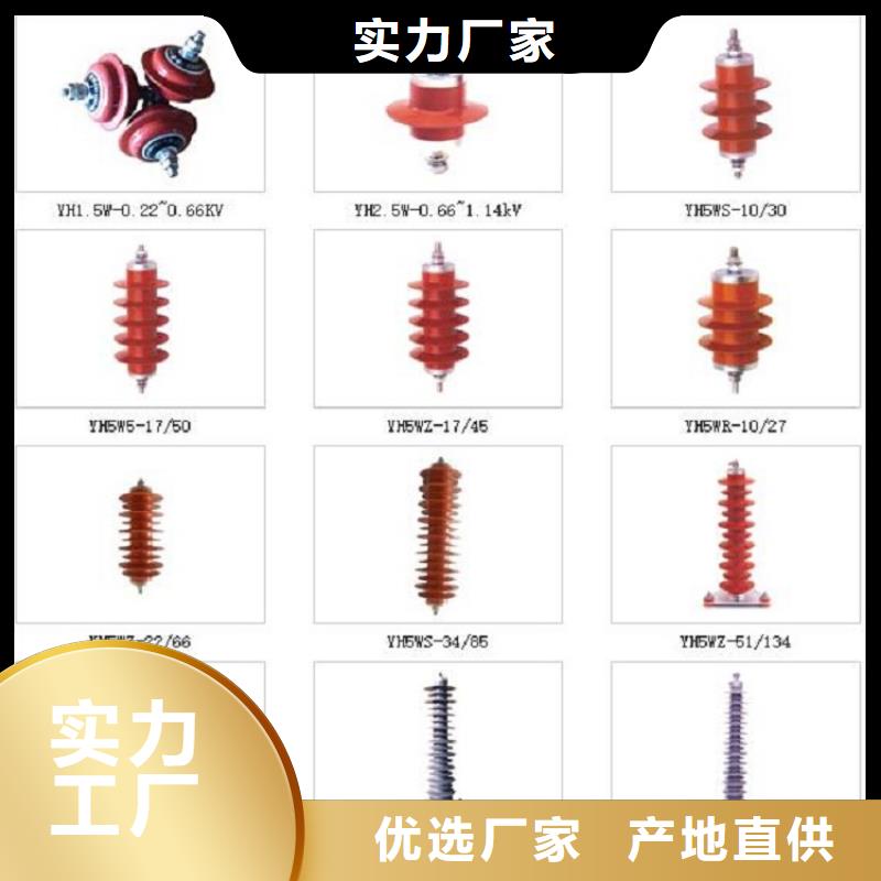 氧化锌避雷器Y10W1-96/232【浙江羿振电气有限公司】