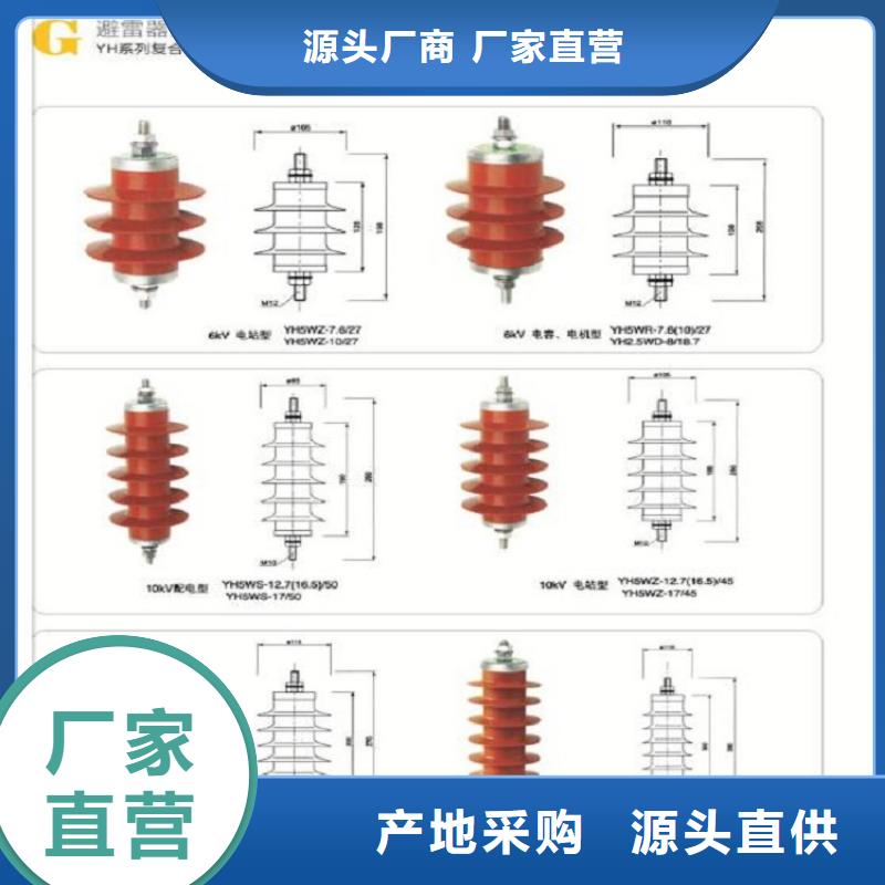 避雷器Y5W1-96/250【上海羿振电力设备有限公司】