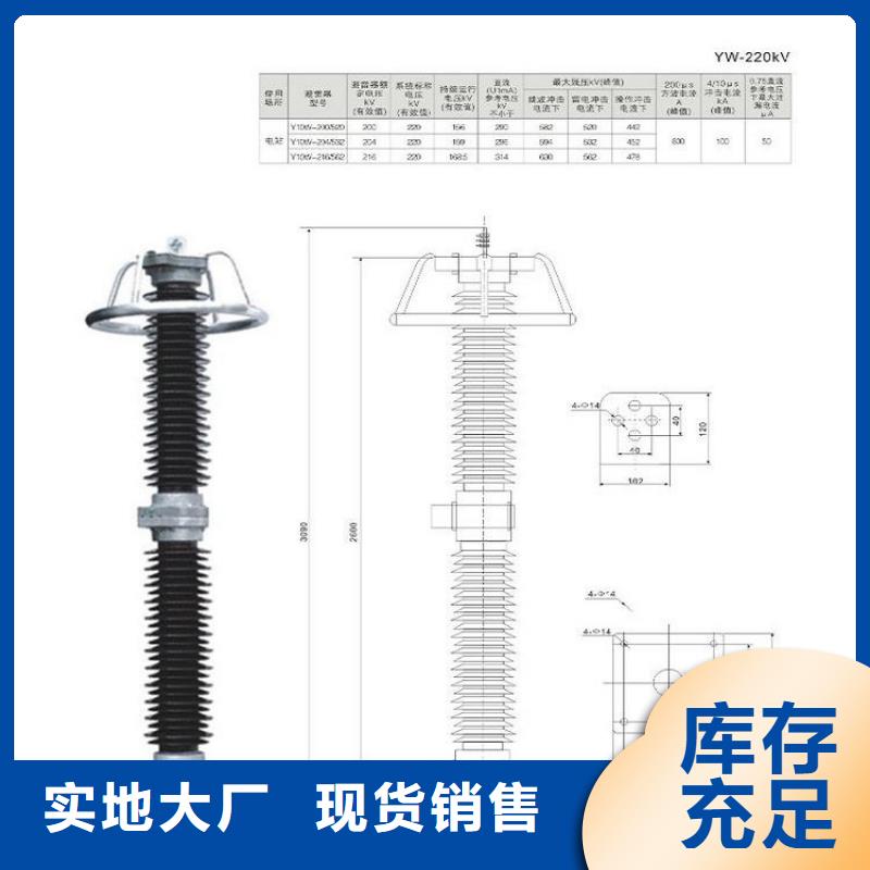 避雷器Y10W1-96/250W