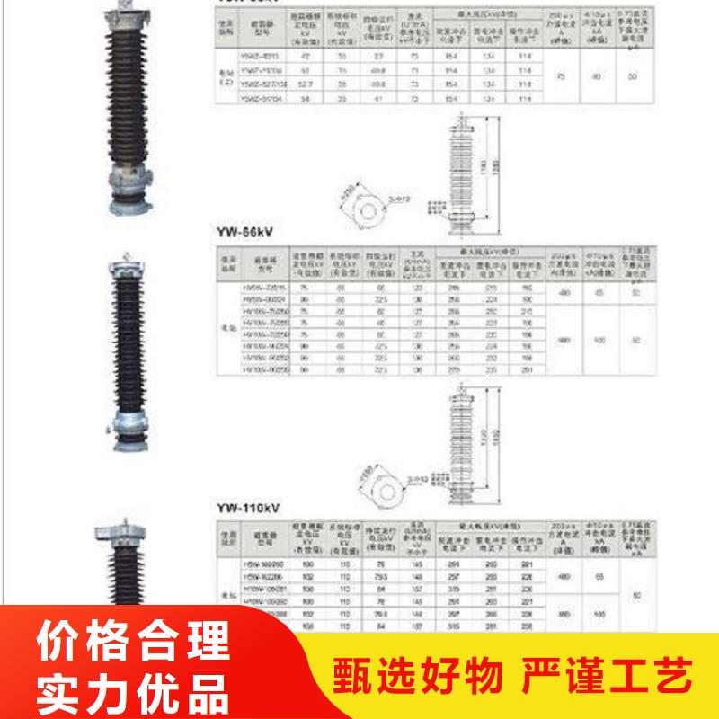 氧化锌避雷器HY5WS2-17/50DL-TB【上海羿振电力设备有限公司】