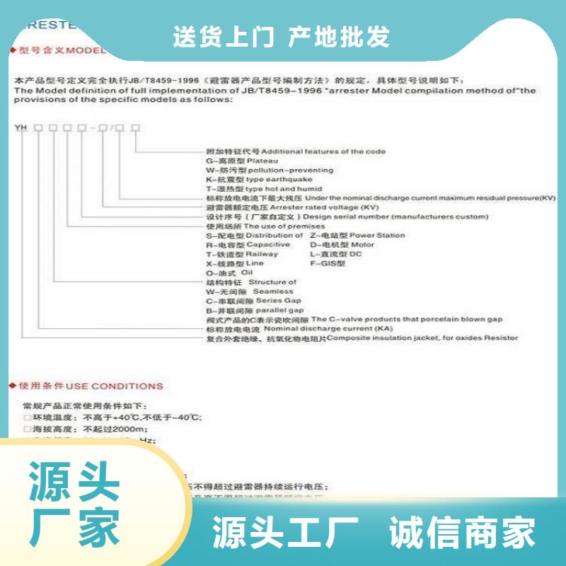 【羿振电气】避雷器YH5W5-100/260