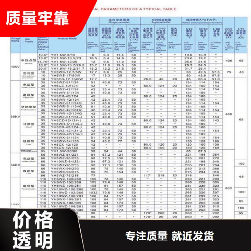 金属氧化物避雷器HY10CX4-216/560J