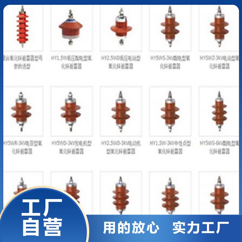 ＿金属氧化物避雷器Y1W-55/132
