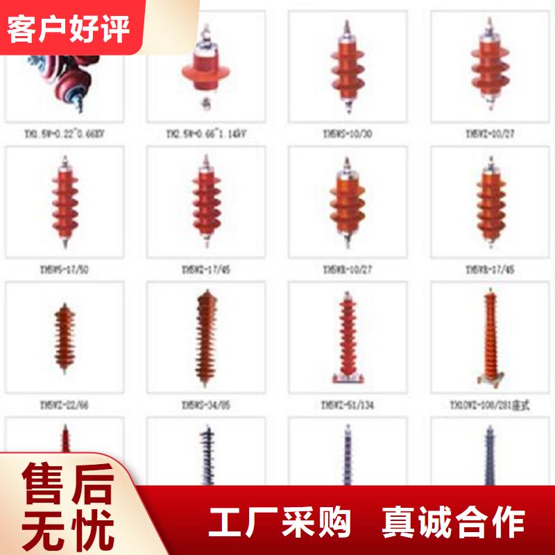 金属氧化物避雷器Y10W-200/496【浙江羿振电气有限公司】