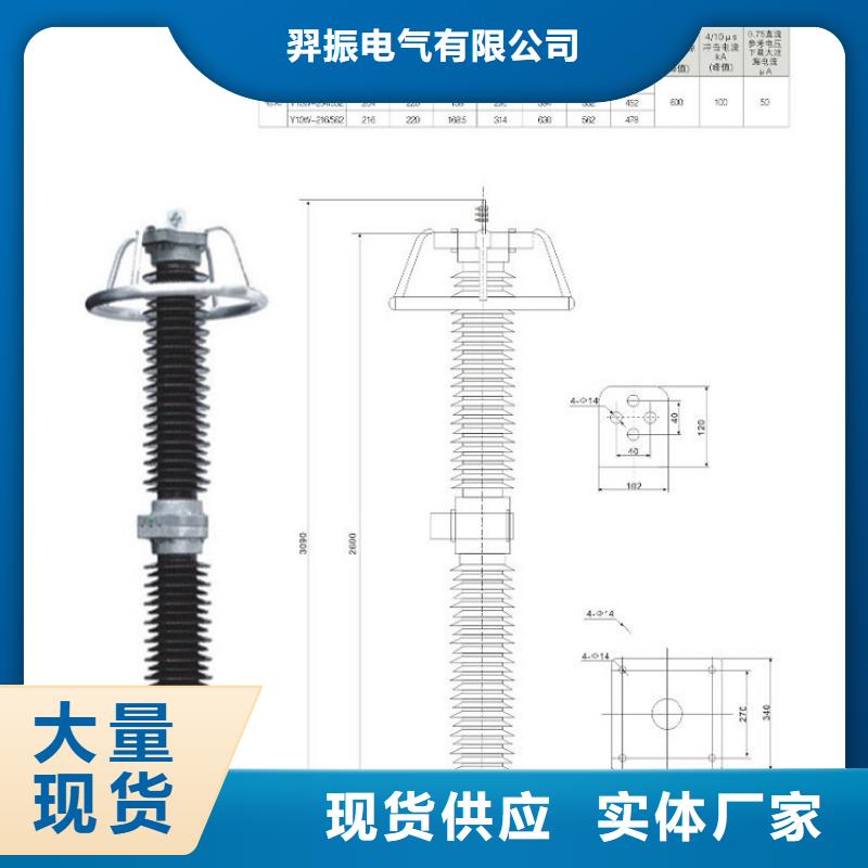 【避雷器】Y5WS-10/30