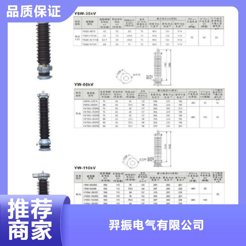 复合绝缘氧化锌避雷器YH10W-51/134G