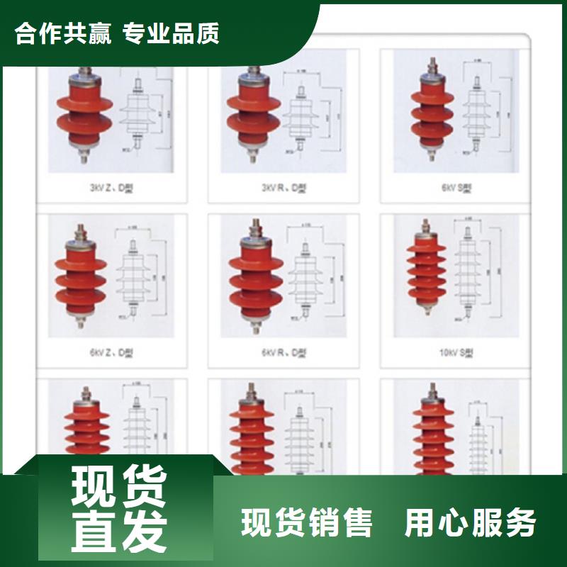 瓷外套金属氧化物避雷器Y10W-200/520浙江羿振电气有限公司