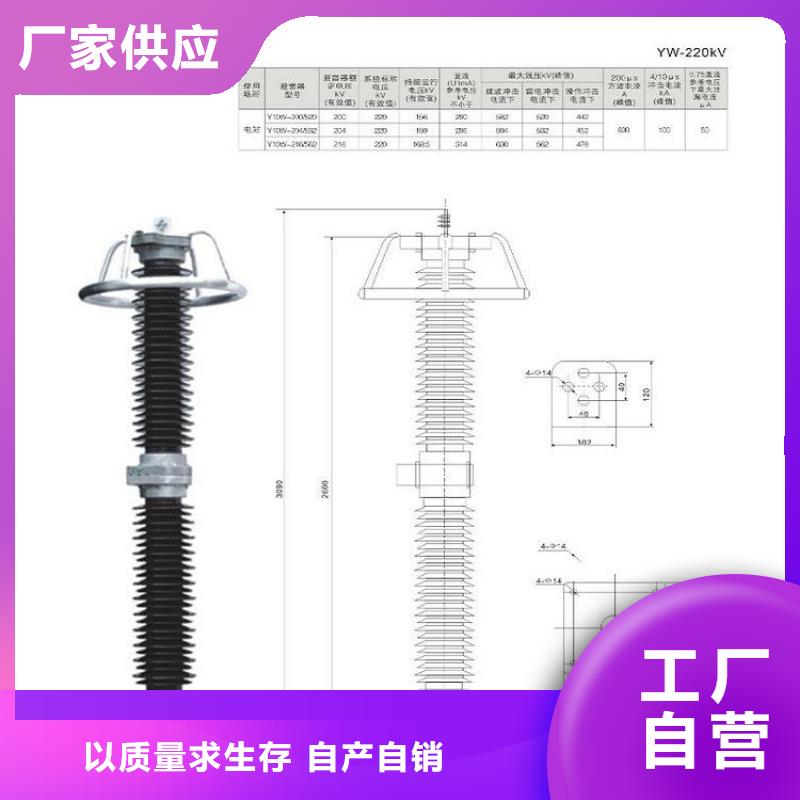【避雷器】YH10CX-96/280【上海羿振电力设备有限公司】