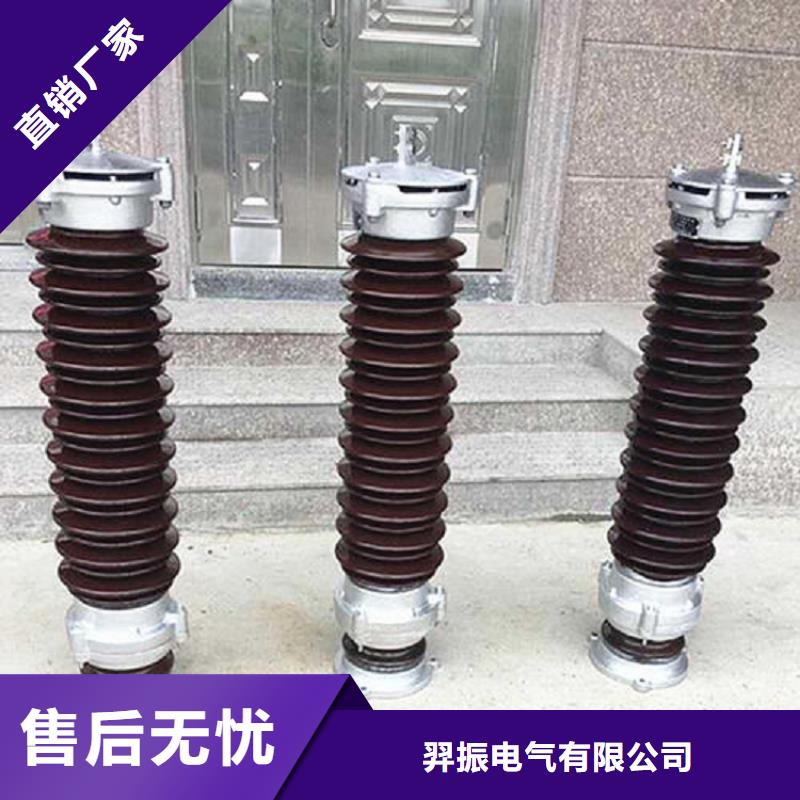 金属氧化物避雷器Y10W-100/260