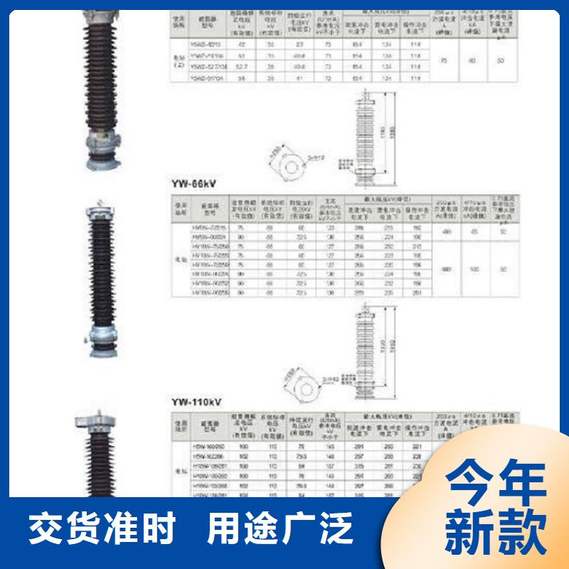 避雷器YH10WZ-100/260