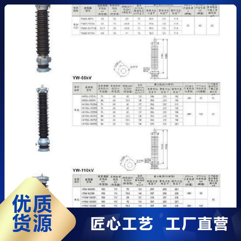 金属氧化物避雷器Y5WZ-10/27DL