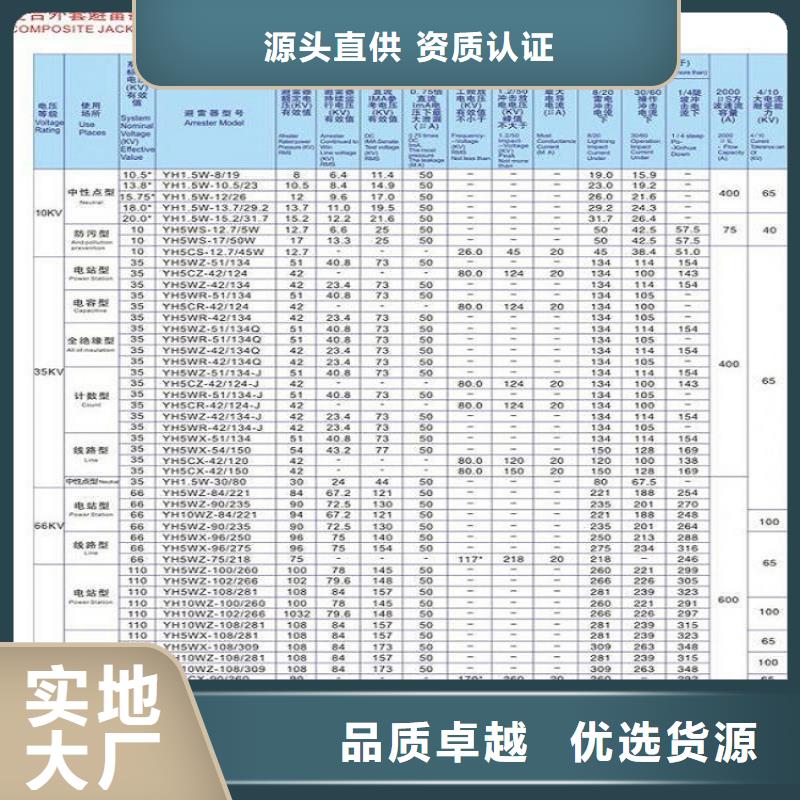 避雷器YH10W-216/562GY