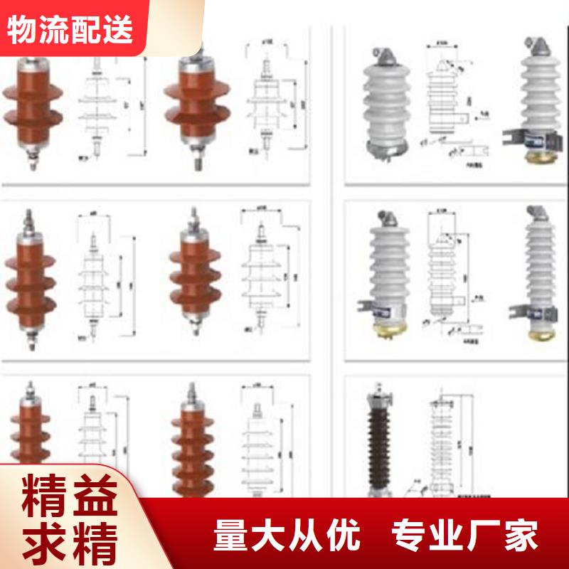 避雷器Y10W1-102/266W