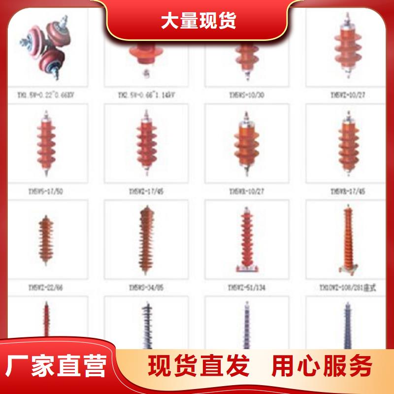 避雷器YH10W-51/134【羿振电气】