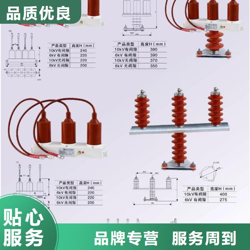 过电压保护器(组合式避雷器)TBP-C-12.7F/150-J