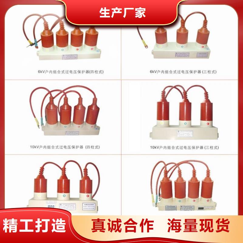 过电压保护器(组合式避雷器)YH5WS-10/30*10/30