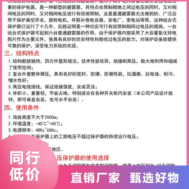 【组合式避雷器】TBP-B-42/630W
