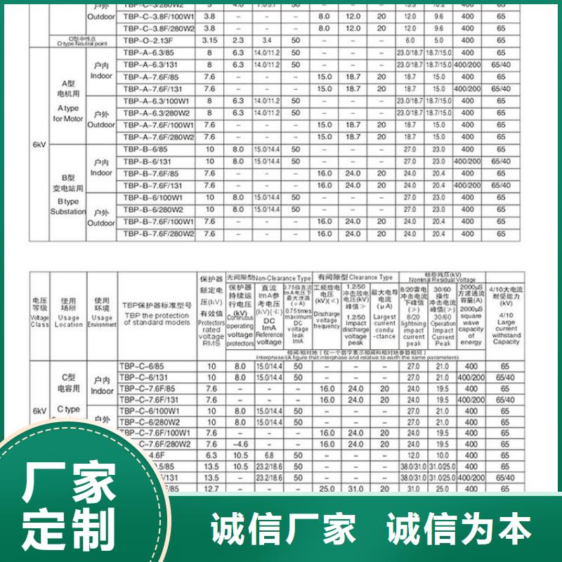【羿振电力牌】过电压保护器TBP-C-12.7/85