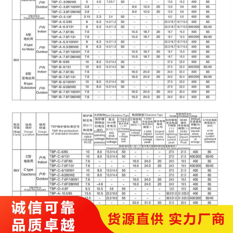 【过电压保护器】TBP-C-10.5/131