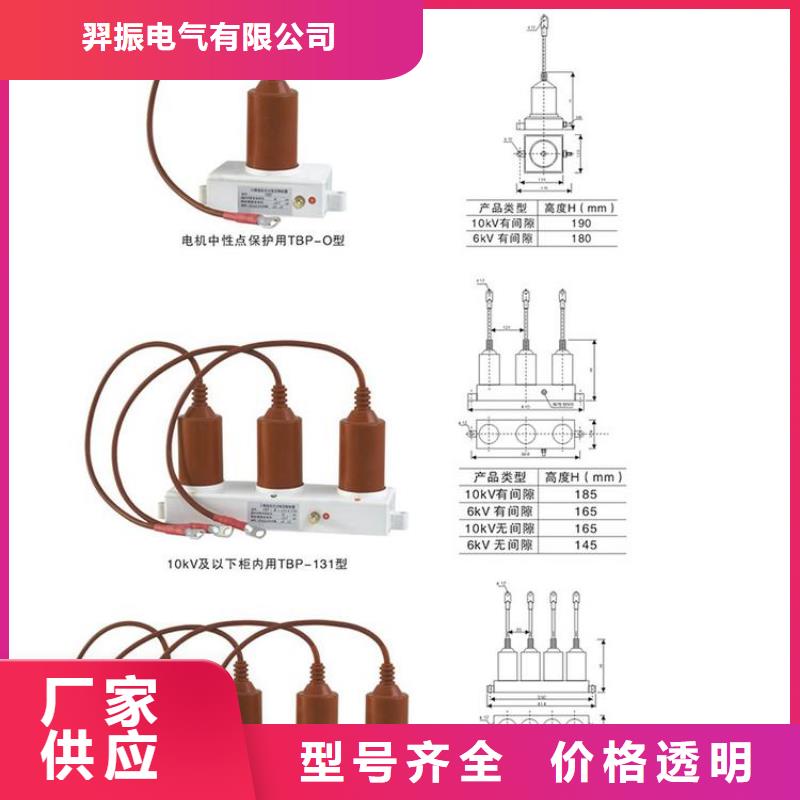 TBP-B-6.3/131-J【过电压保护器】
