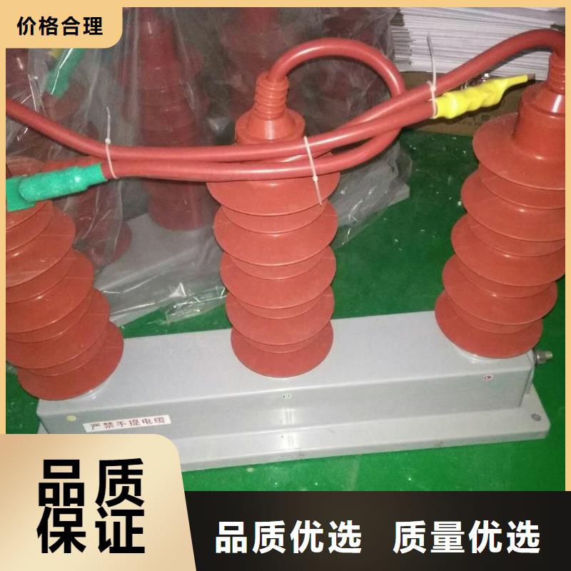 〖过电压保护器〗TBP-B-6.3/131欢迎咨询