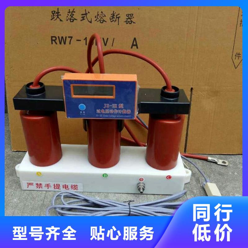 过电压保护器-YH5WD-13.5/38.7*13.5/31.0