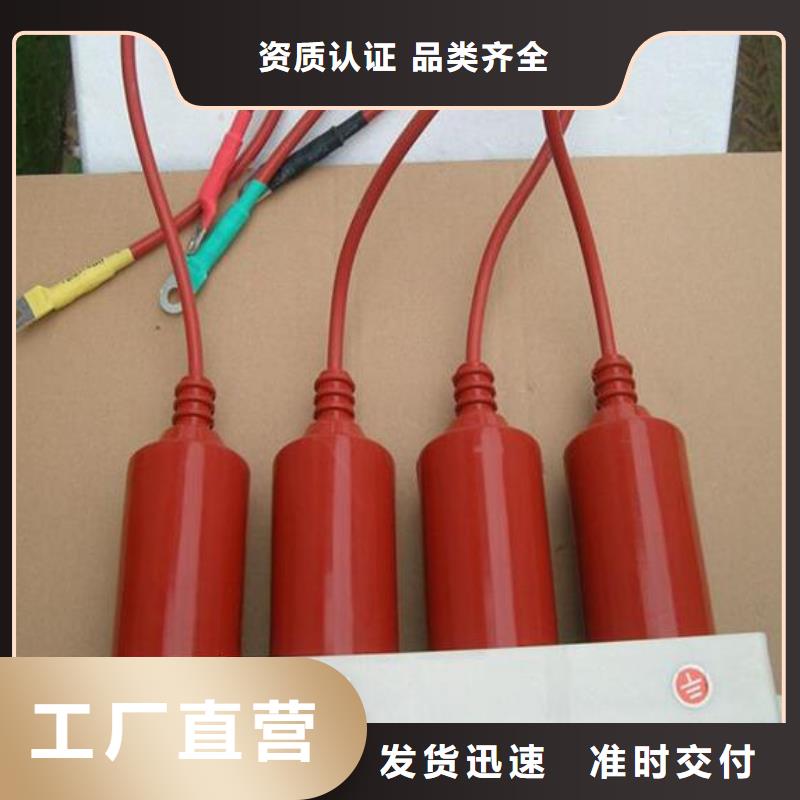 〖过电压保护器〗TBP-W-A/10-F组合过电压保护器质量可靠