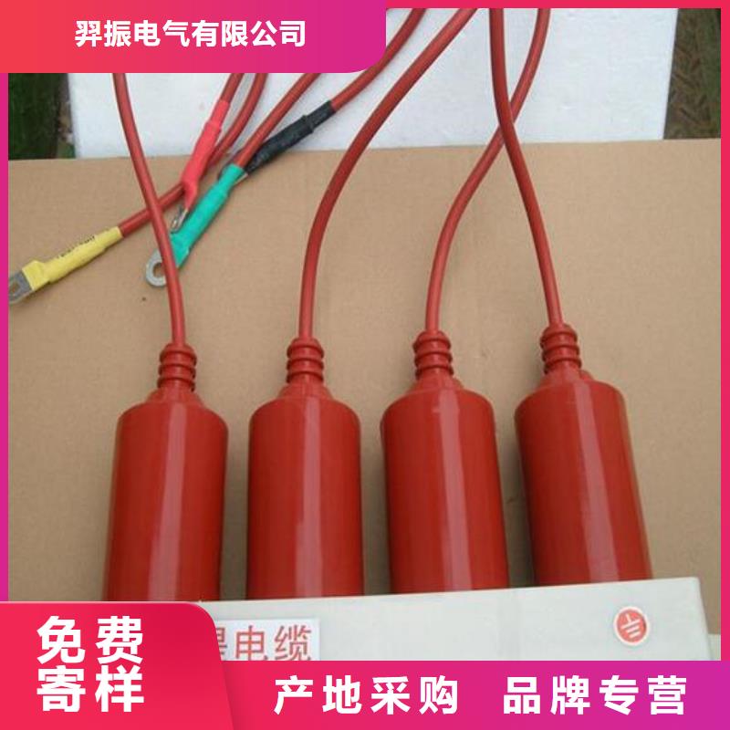 保护器(组合式避雷器)RTB-Z-12.7KV/85-N