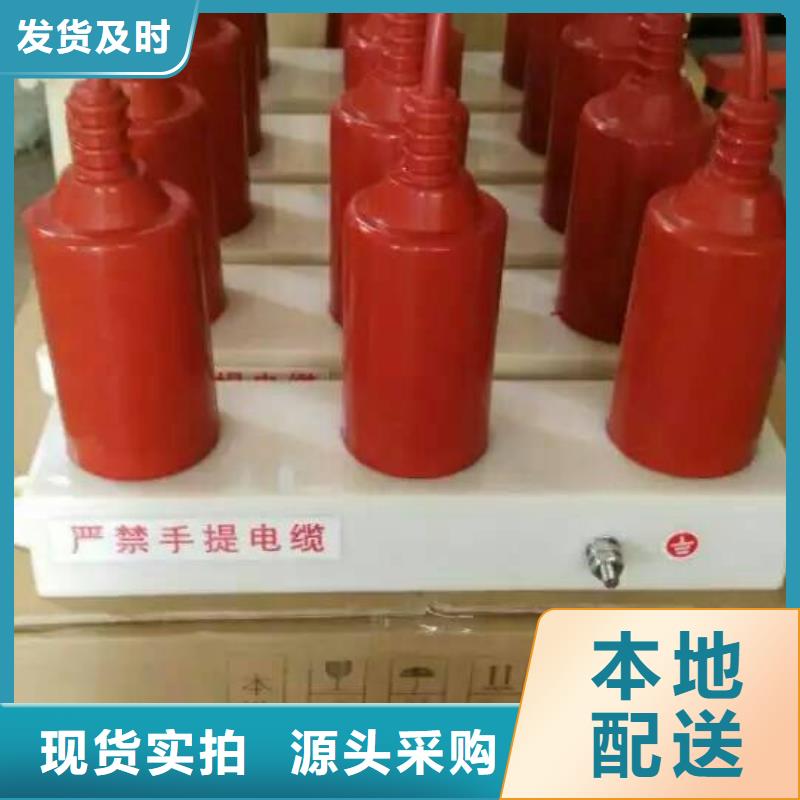 〖过电压保护器〗RTB-D-35KV/300-J价格优惠