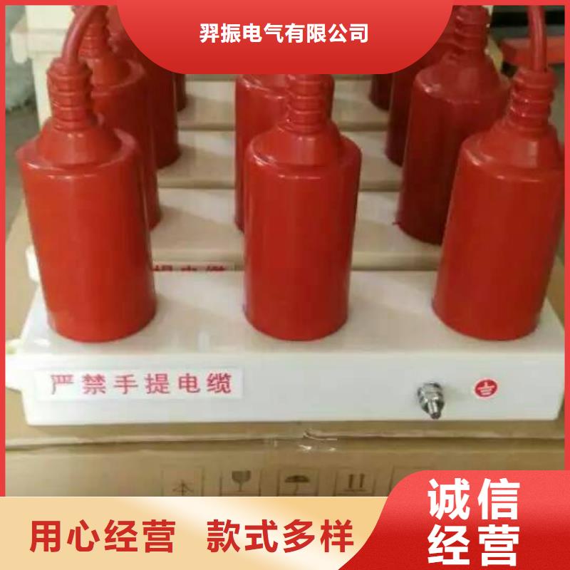 ＿过电压保护器(组合式避雷器)SHK-TBP-B-7.6/131
