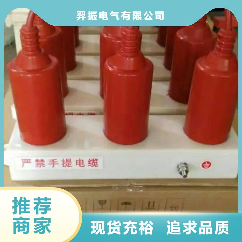 【过电压保护器】TBP-C-7.6/150