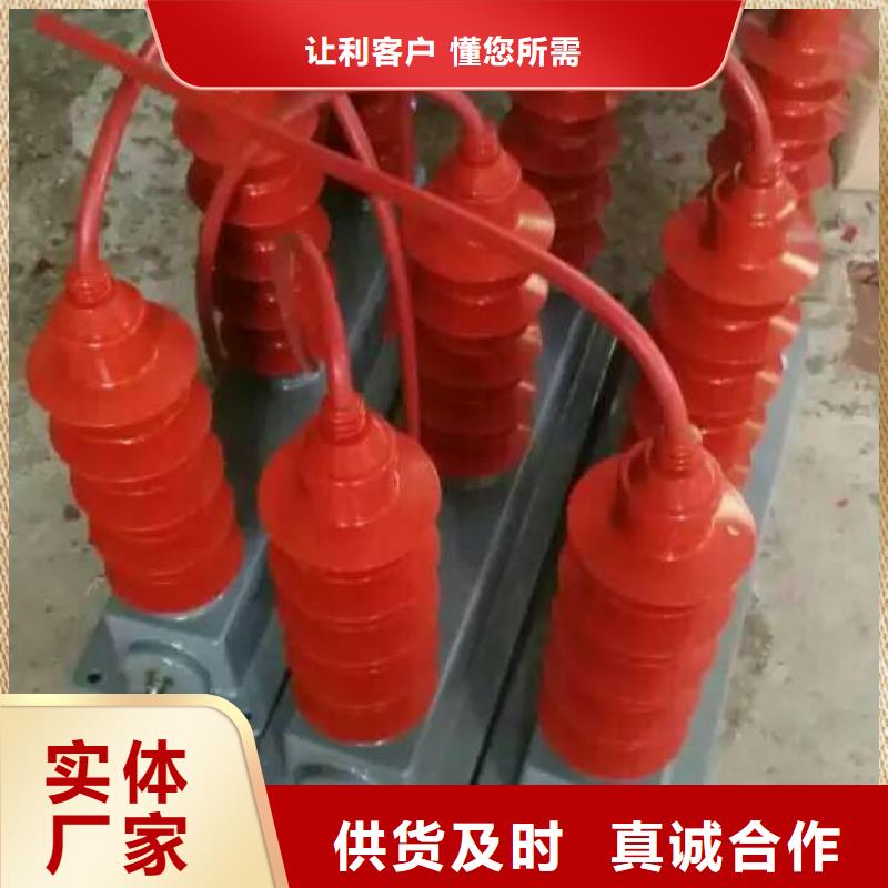 SYB-C-7.6KV/85-J-过电压保护器