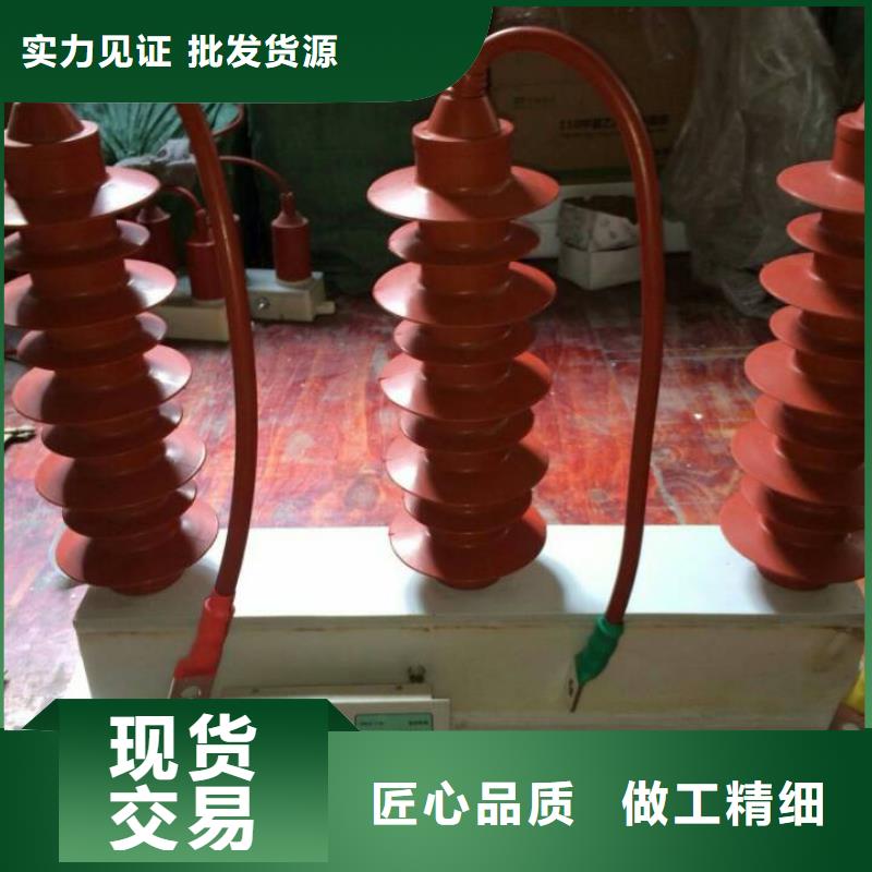 ＿过电压保护器(组合式避雷器)YH5WR-5/13.5*5/13.5