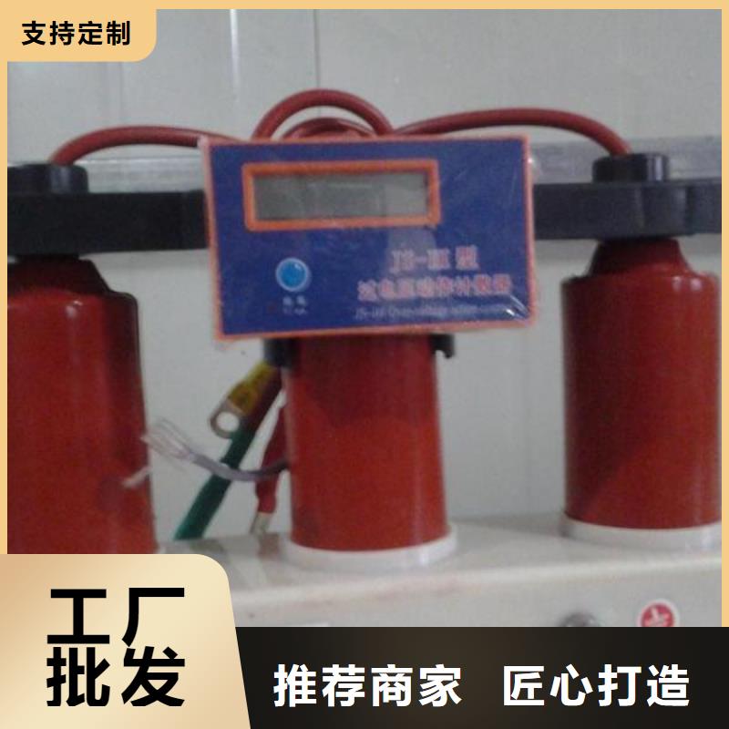 保护器(组合式避雷器)TBP-A-7.6/85-J