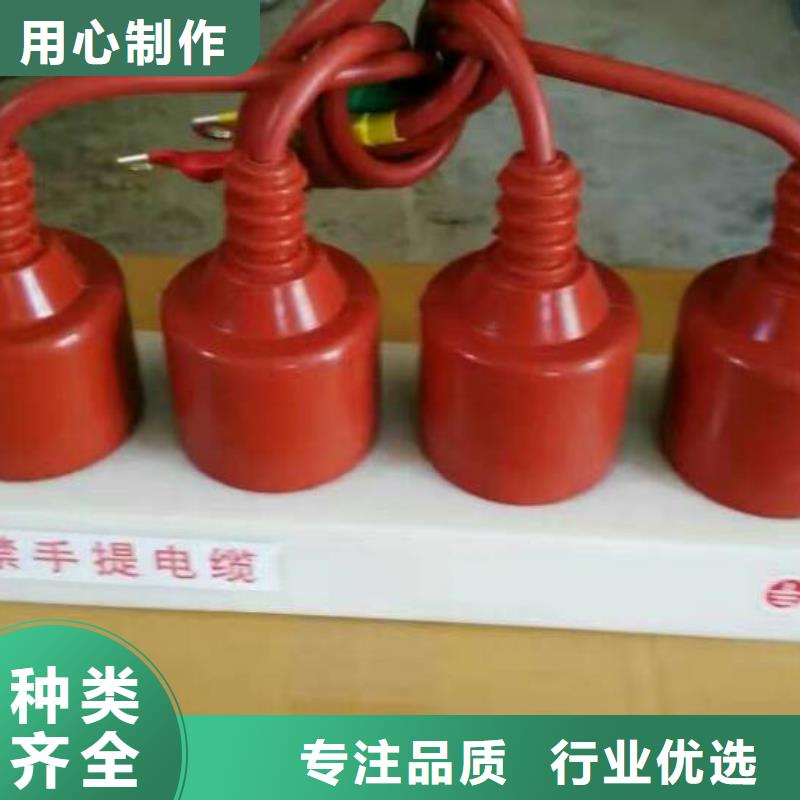 SYB-C-7.6KV/85-J-过电压保护器