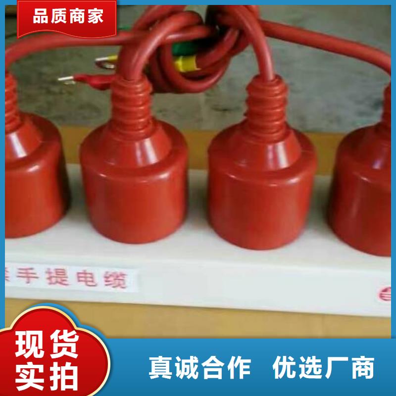 【组合式避雷器】TBP-A-6.3/F