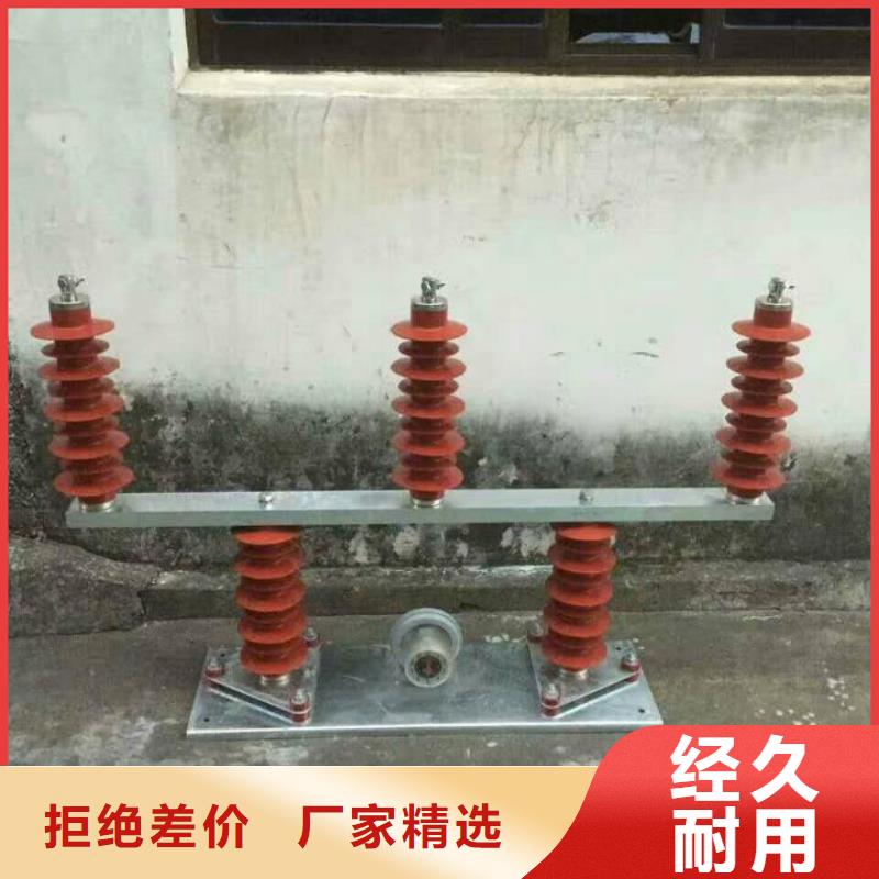 过电压保护器(组合式避雷器)YH5WS-10/30*10/30