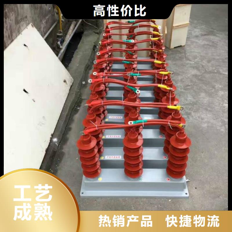 【组合式避雷器】TBP-A-42F/280-IM