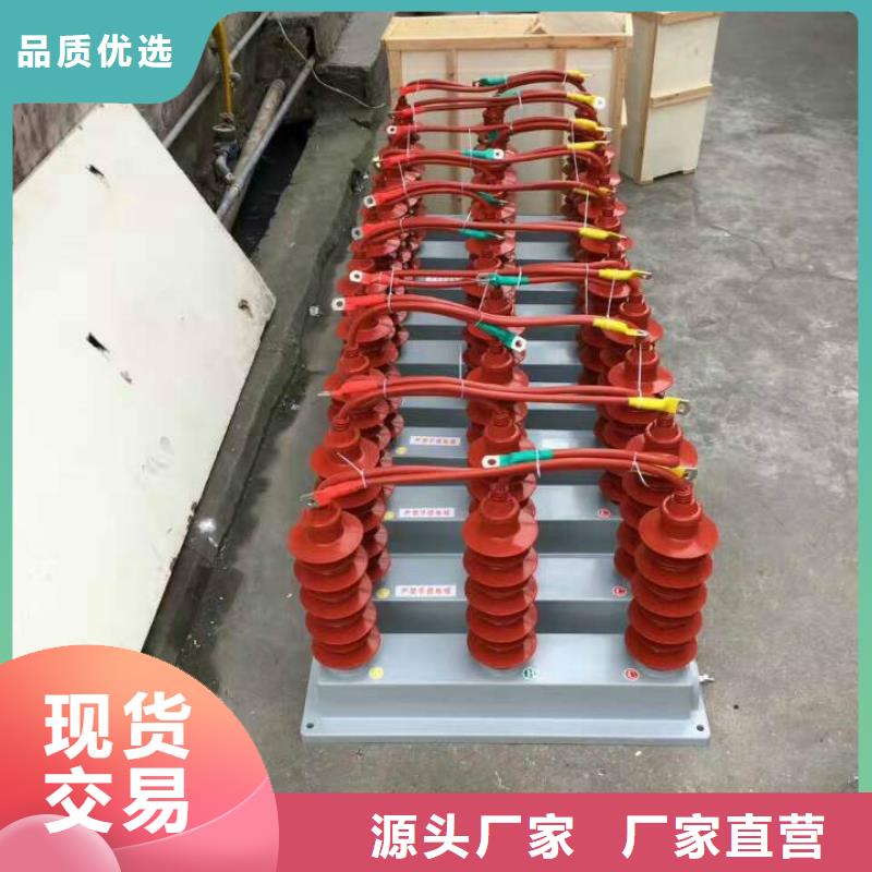 过电压保护器(组合式避雷器)YH5WS-10/30*10/30