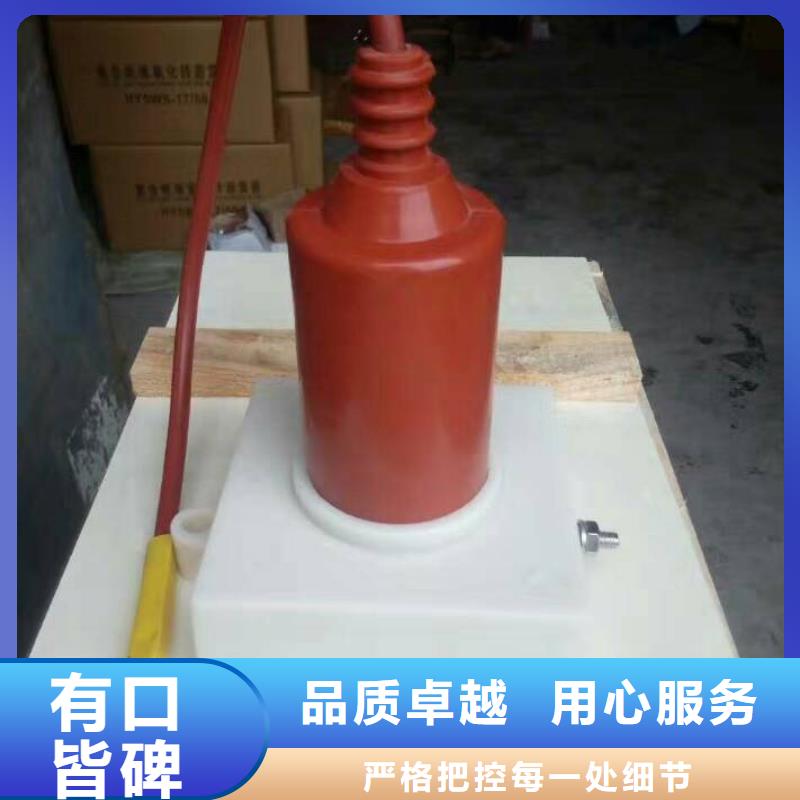 过电压保护器(组合式避雷器)TBP-C-42/630W2